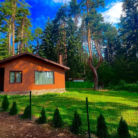 Capricorn ツィゴフ・チャルク