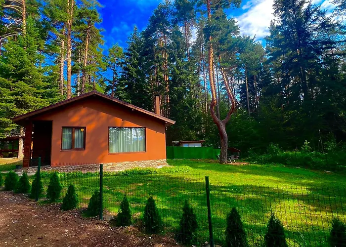 Capricorn Tsigov Chark